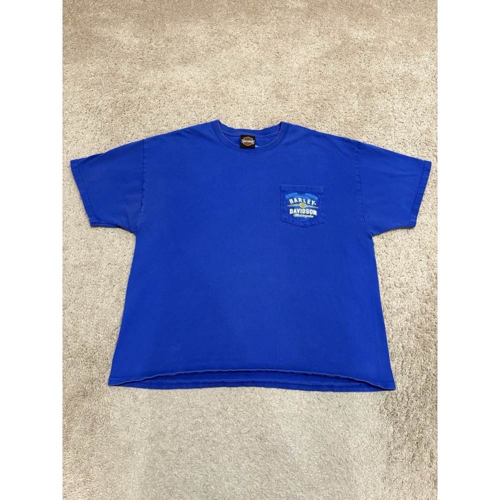 Vintage 2000s Harley Davidson Flame Logo Blue T-Shirt Size XL